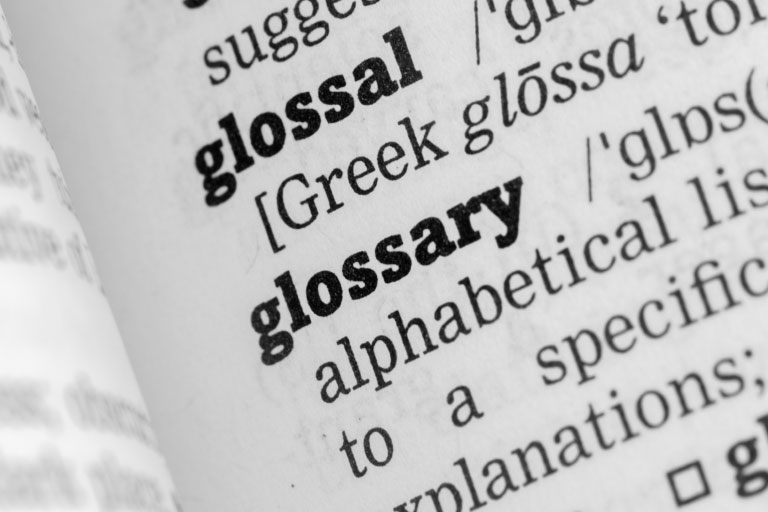 Glossary of Terms